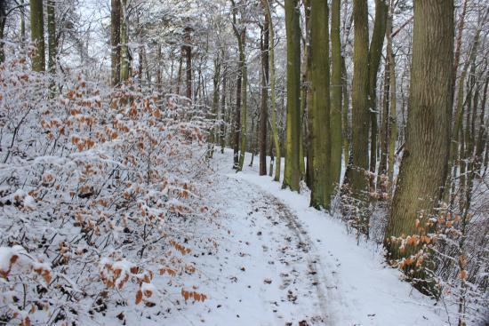 Park im. Papieża Jana Pawła II